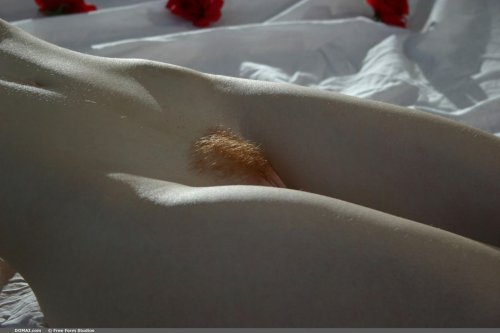 Рыженькие девчонки позируют голыми на фото